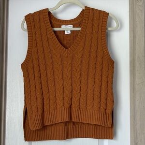 Cupcakes & Cashmere Brown V-Neck Sweater
